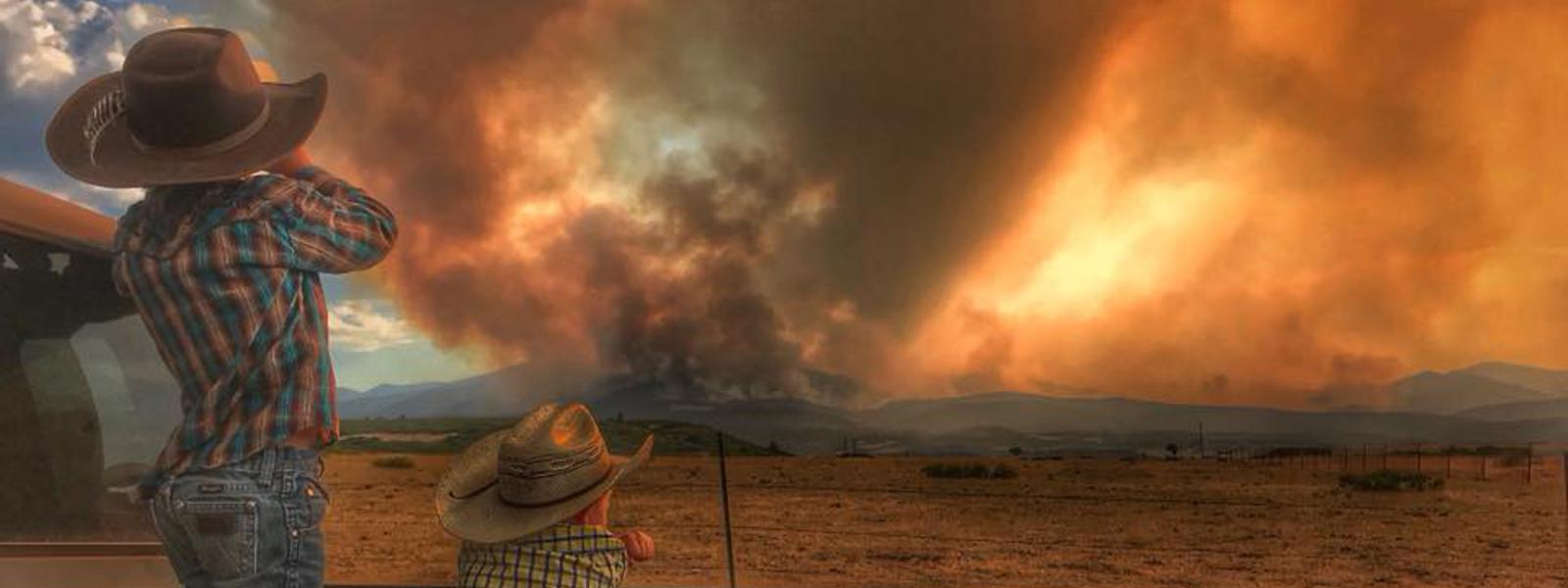 Fire Mitigation by Wayne Arnold in La Veta and Huerfano County