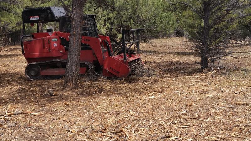 Tree & Brush Mulching by Wayne Arnold in La Veta and Huerfano County